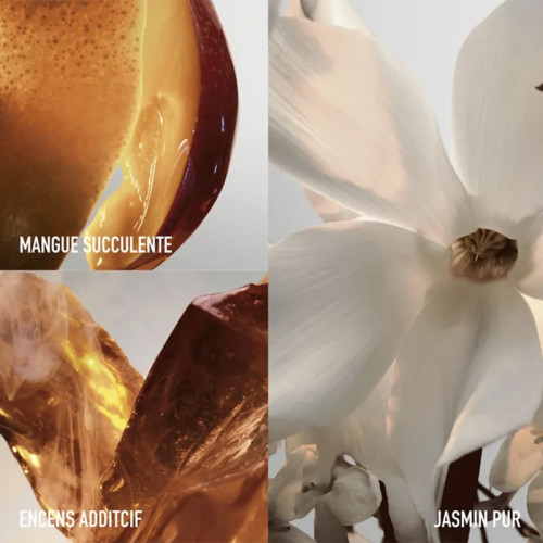 RABANNE PARFUM Fame Winter Crush - Eau de Parfum - Edition